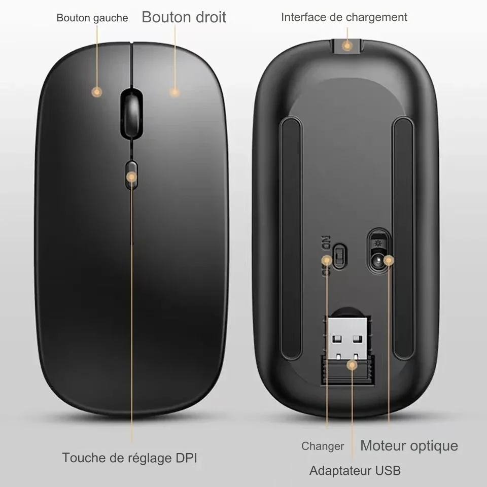 SOURIS D'ORDINATEUR BIMODES rechargeable compatible Bluetooth 2,4 GHz avec nano-récepteur pour ordinateur portable et bureau